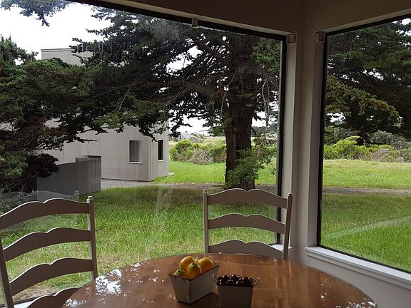View from Dining Table