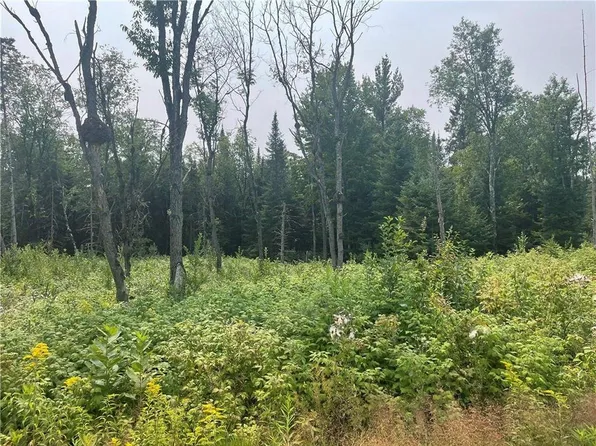 Old 13 Rd, Butternut, WI 54514