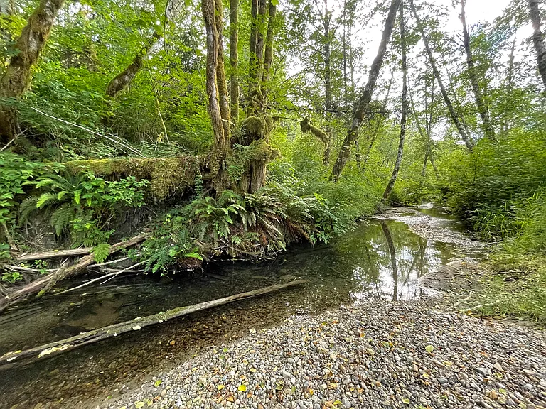 Private creek on property