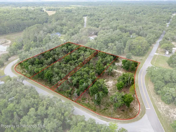 34121 August Ave, Webster, FL 33597