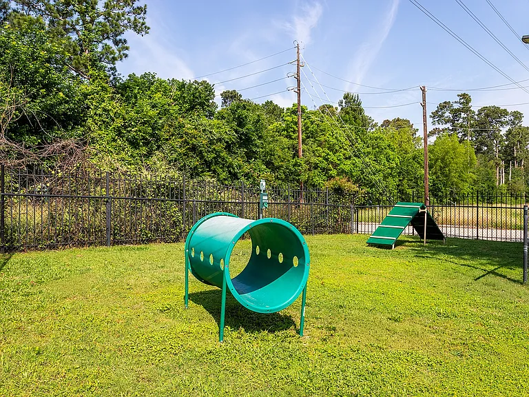 Sunny Dog Park