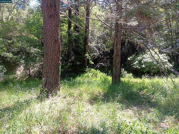 5th image of 56025 Highway 101 N