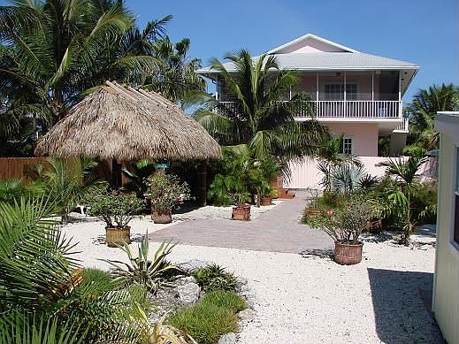 Backyard View - X-Large Lot