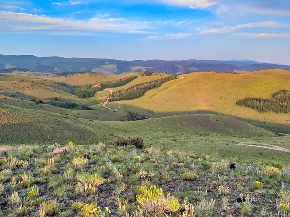 1931 Commanche Trail, Westcliffe, CO 81252