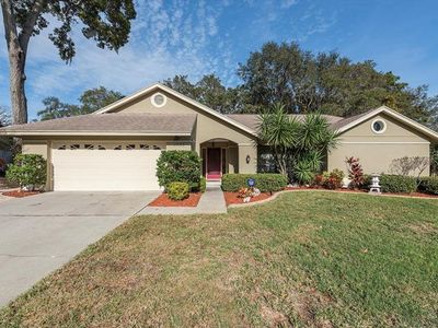 3633 Nettle Creek Ct, Holiday, FL, 34691