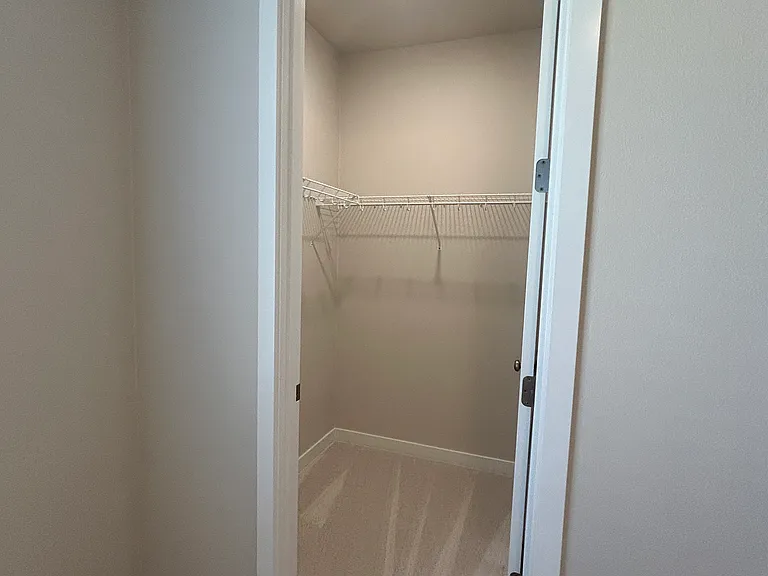 Main level bedroom walk-in closet