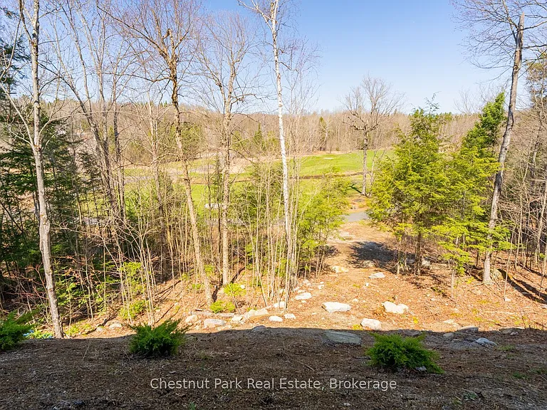 25 Deerhurst Highlands Dr — Photo 47