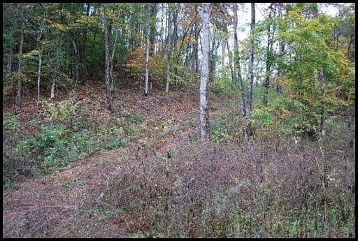 2nd image of Bob Hollow Rd