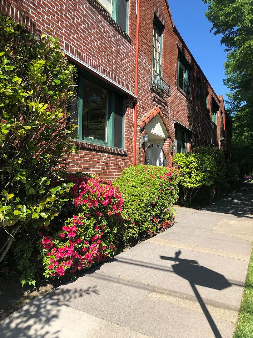 Large Vintage 1 Bedroom off of Belmont — Photo 3