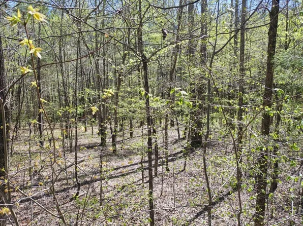 0 Roanoke Creek Rd, Collinwood, TN 38450