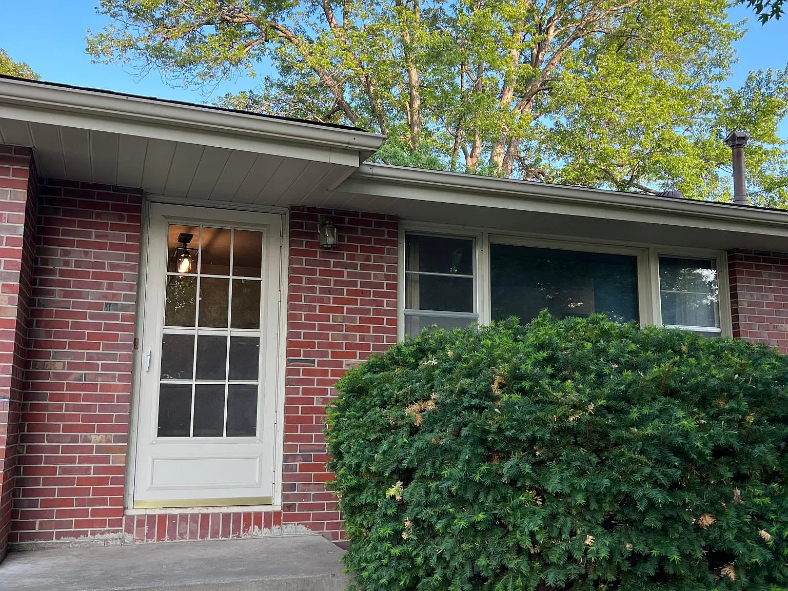 4 bed, 988 sqft, $1,800 — Photo 2