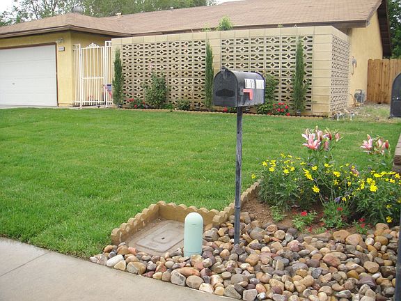 Front yard