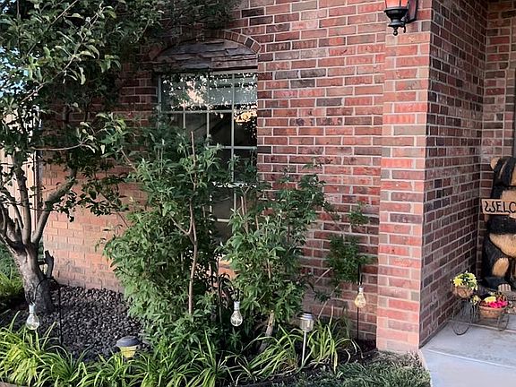 Established rocked flowerbed