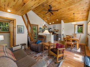 313 N Piedmont St, Rico, CO 81332