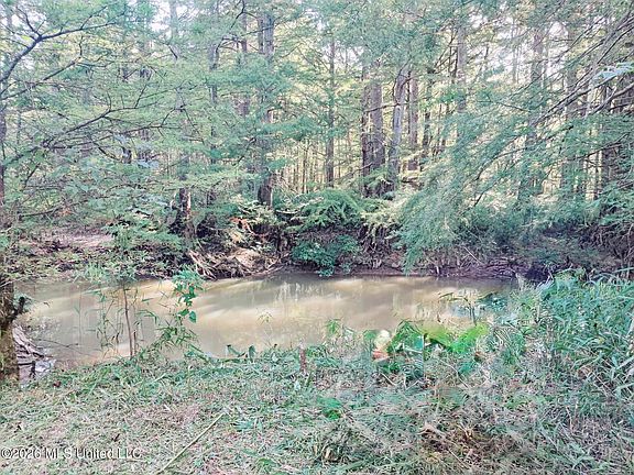 3rd image of Miller Rd Lot 8