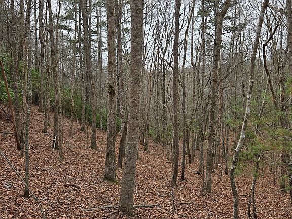 5th image of 8.5 Blue Berry Rdg