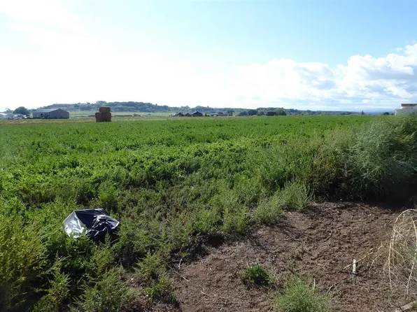 Basten Lot 3 TBD Jig Road, Montrose, CO 81403