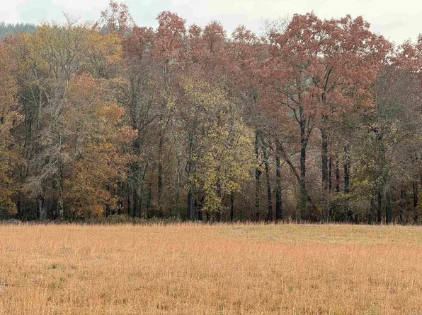 45 0th Trl, Plainview, AR 72857