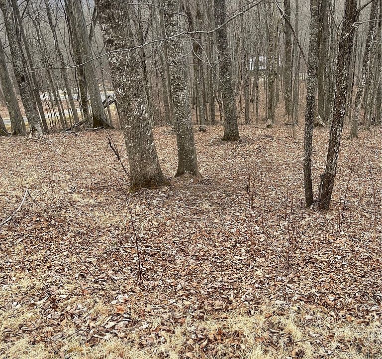 1st image of Lot #33 Elk Mountain Parkway