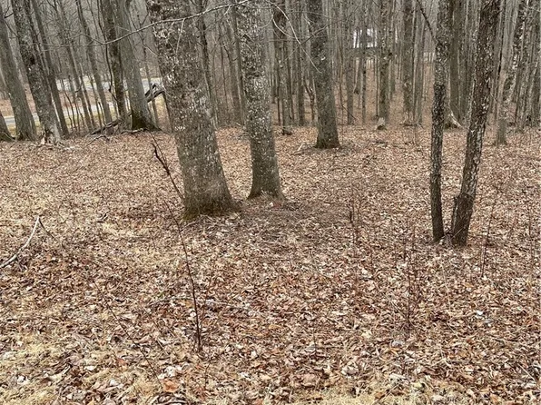 Lot #33 Elk Mountain Parkway, Todd, NC 28684