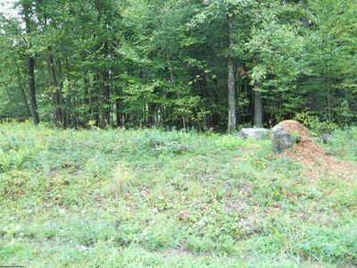 19 Hemlock Ridge Rd, Terra Alta, WV, 26764