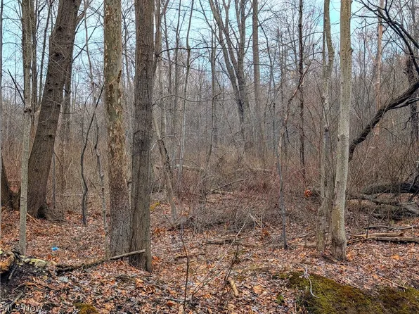 Magnolia Dr #7, Madison, OH 44057