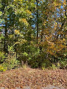 Tonto Dr, Cherokee Village, AR, 72529