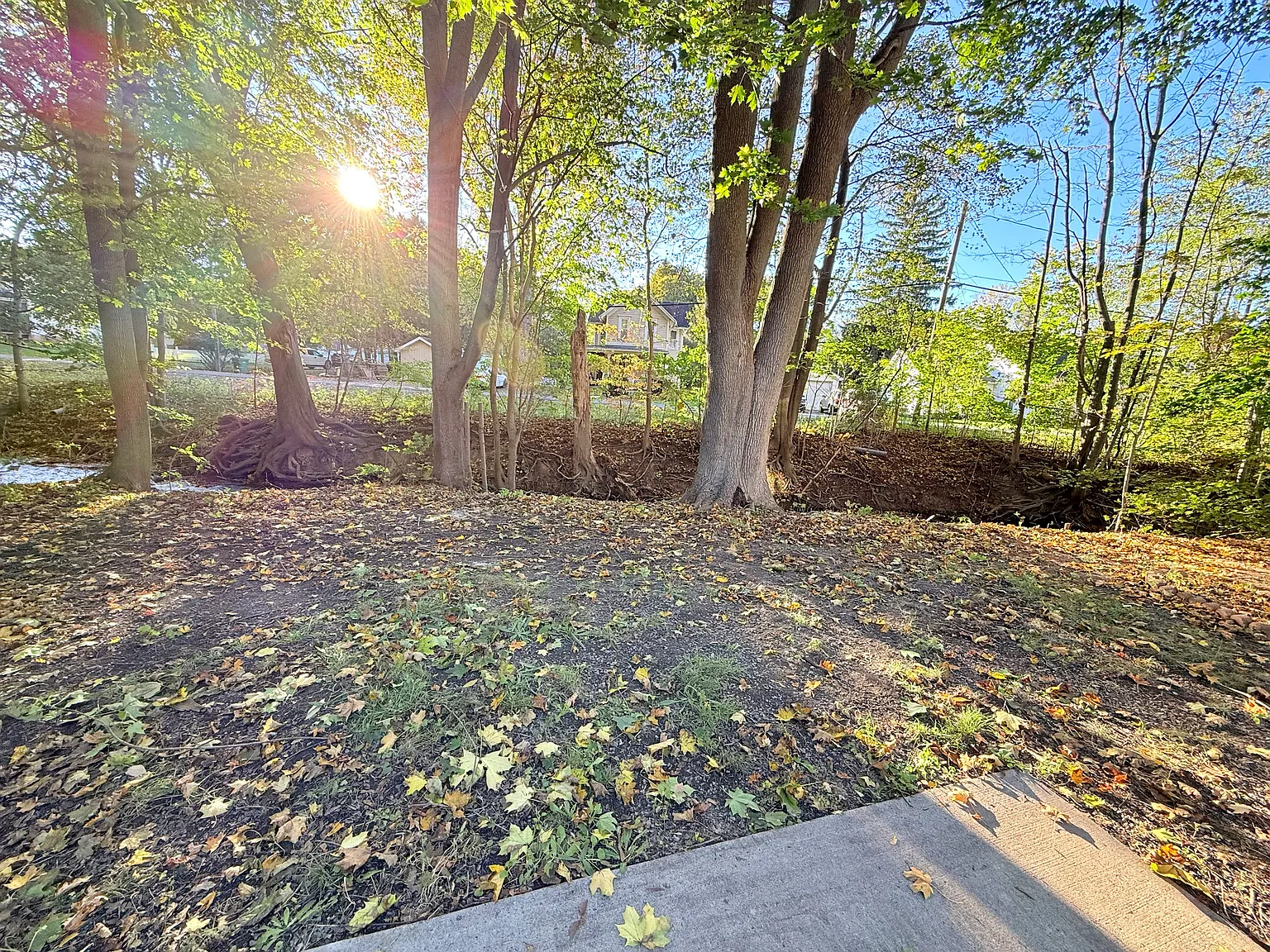 3 bed, 1000 sqft, $1,675 — Photo 3