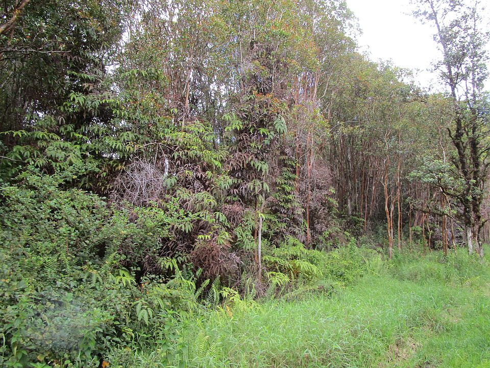 2nd image of Road 6 Lot 370