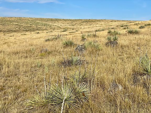 4th image of 3 S County Rd #4