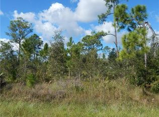 1317 Sheldon Ave, Lehigh Acres, FL 33972