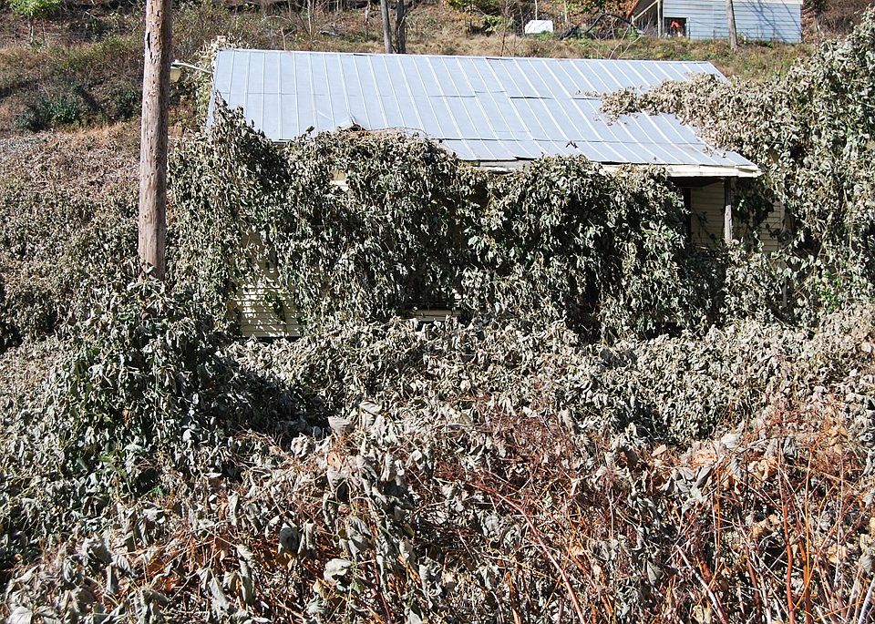 2nd image of 465 Upper Bear Wallow Rd