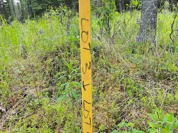 L4 Madsen Ave, Kasilof, AK 99610