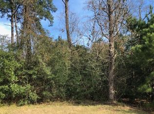 0 Frontier Rd, Willis, TX 77378