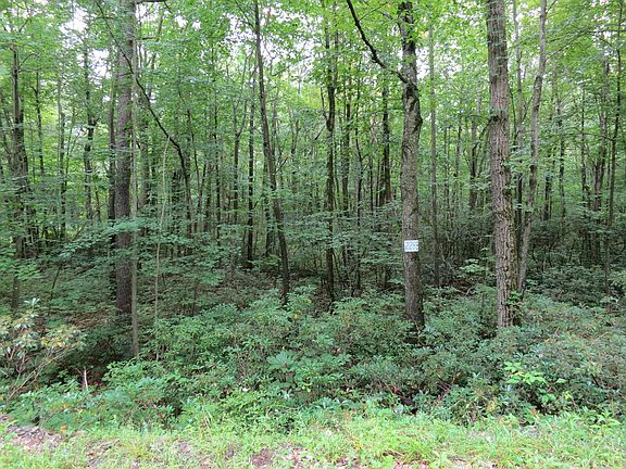 Secluded, wooded lot