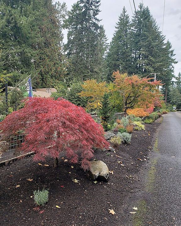 2nd image of 41505 Deerhorn Rd