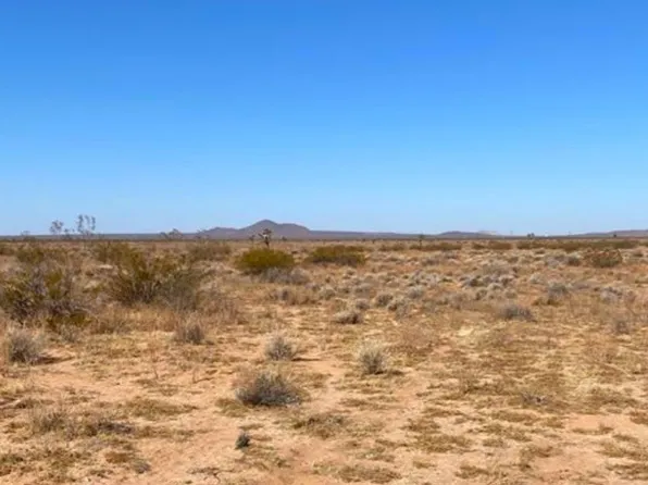 0 Shelby Rd Lot 171, Helendale, CA 92342