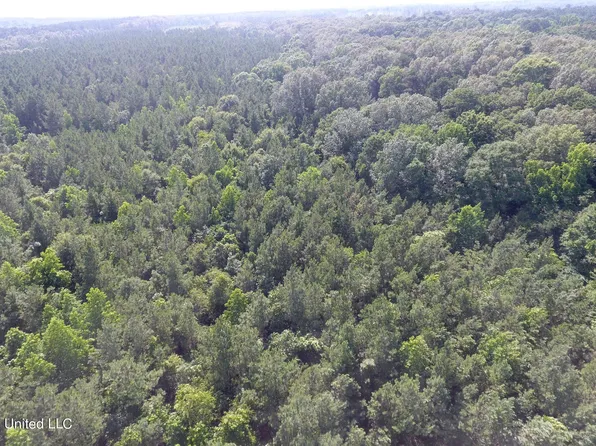 169 Henry Sample Rd, Lena, MS 39094