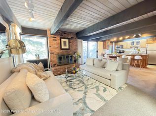 1034 E Cooper Ave #19, Aspen, CO 81611