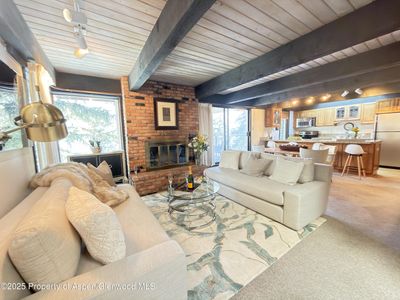 1034 E Cooper Ave #19, Aspen, CO, 81611