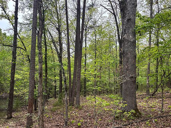 3rd image of 000 County Road 122