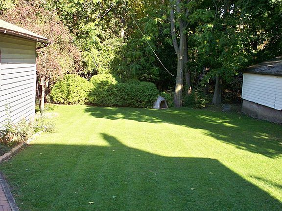 back yard