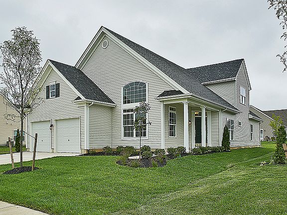 Elevation Image 3.