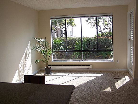 sunny southern exposure