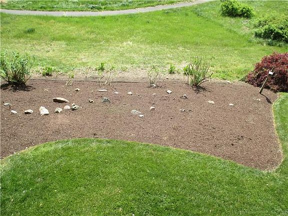 Beautiful Landscape in Back Yard
