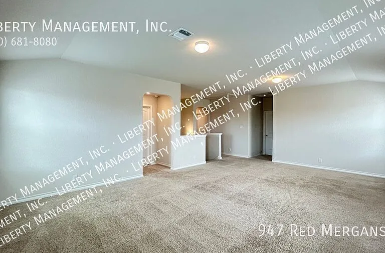947 Red Merganser — Photo 16