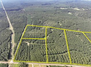 County Road 1325 Cres #1420, Warren, TX 77664