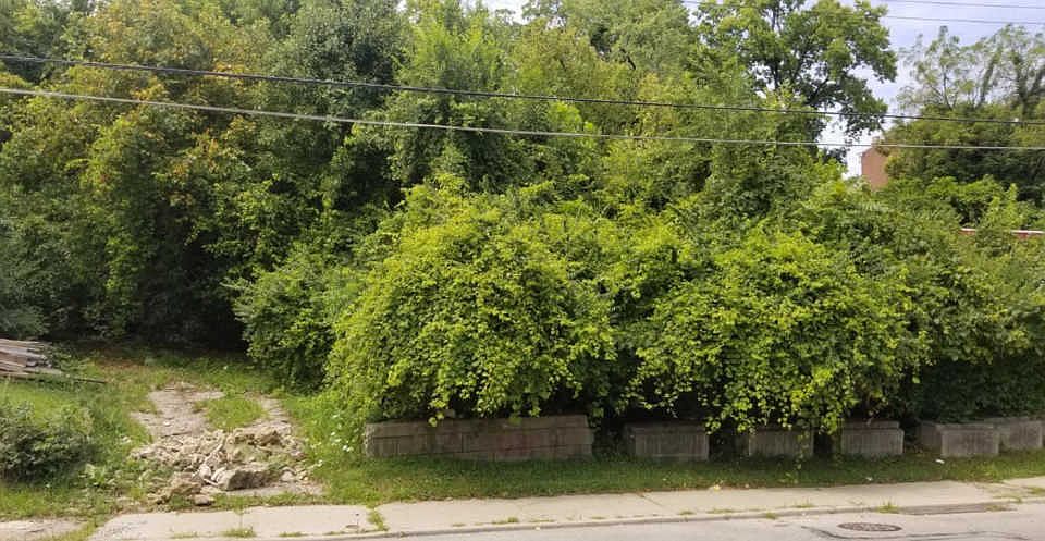 1st image of 2543 Cummins St