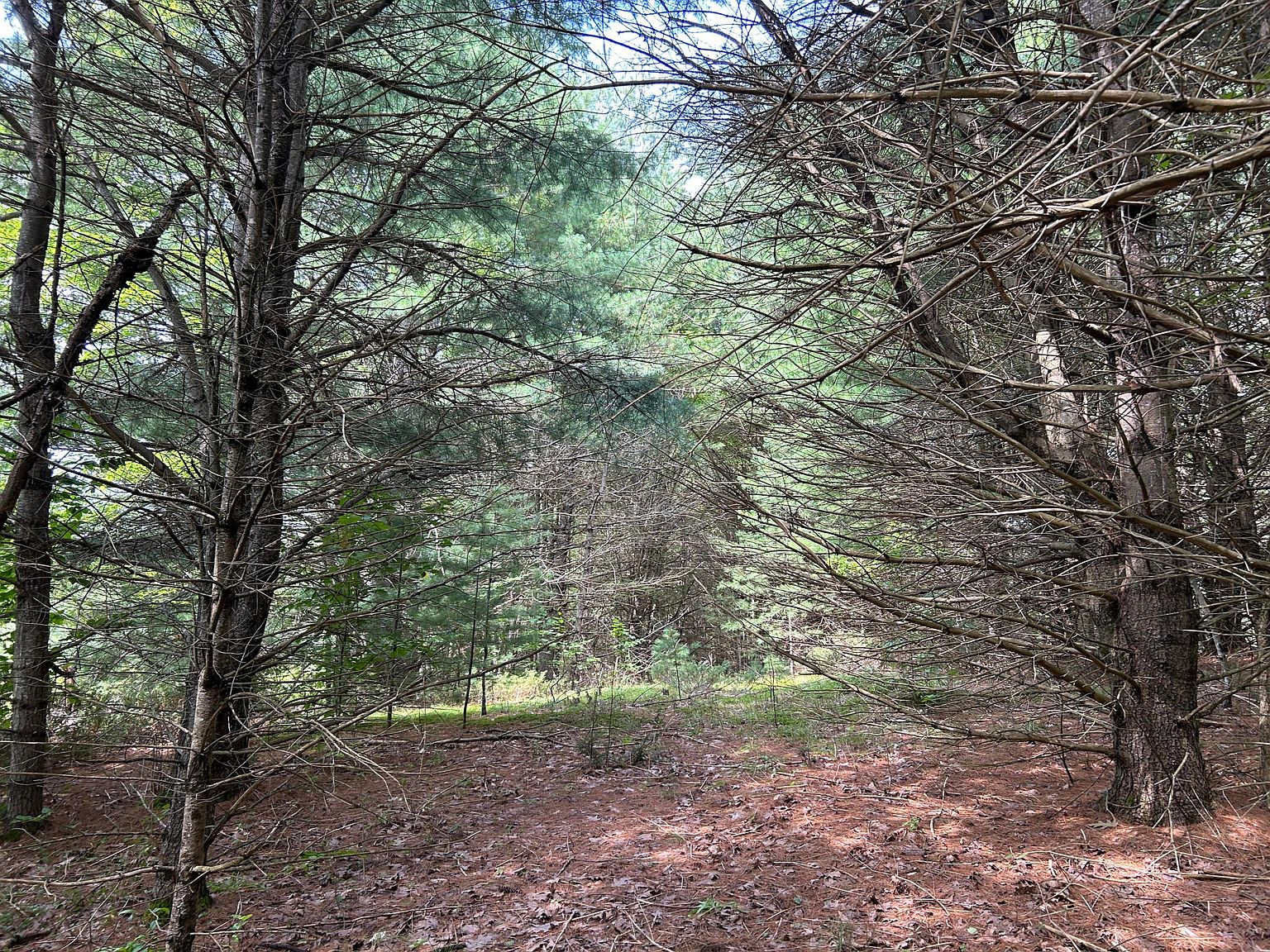 M12 Lot10 Thorndike Road, Unity, ME 04988 Zillow