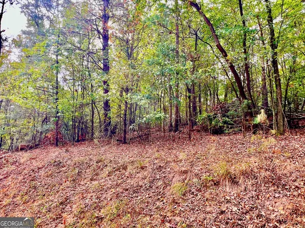 573 Cataula Ct, Ellijay, GA 30540